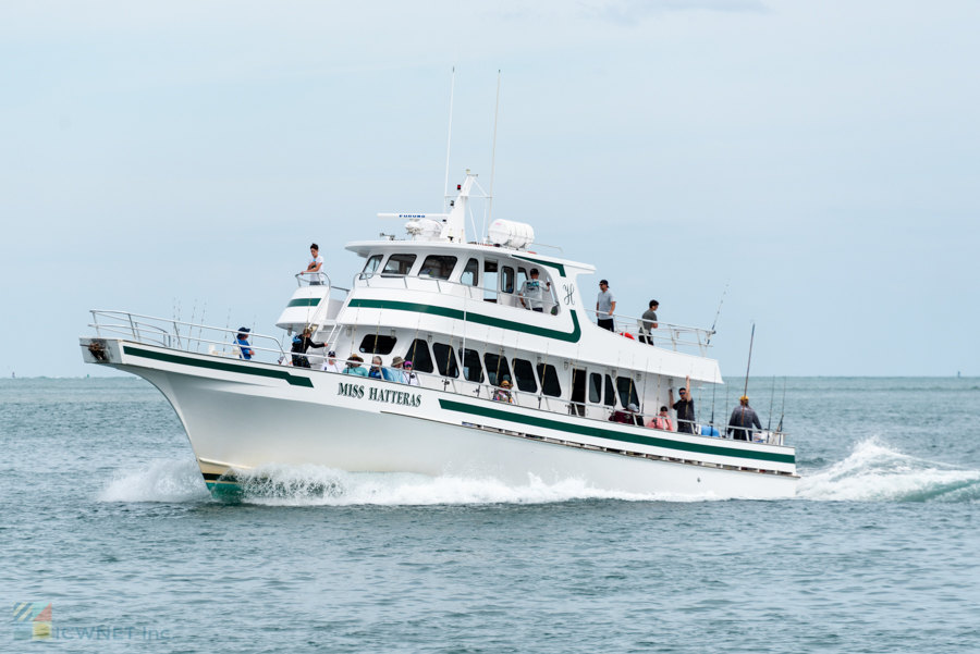 Fishing tour off Hatteras Island