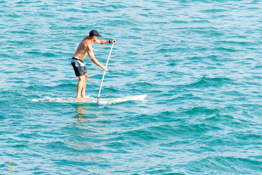 A Padleboarder
