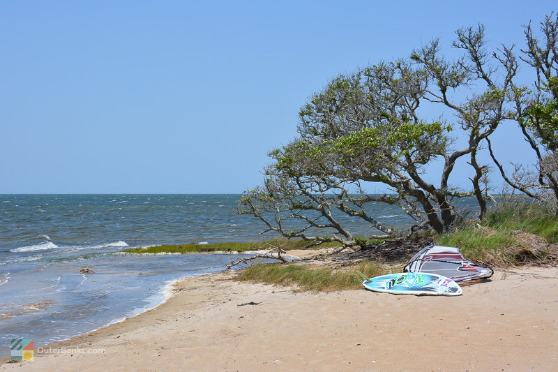 Windsurfing is very popular on the Pamlico sound