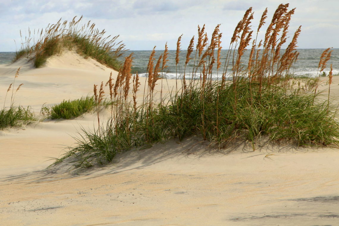 Cape Hatteras National Seashore