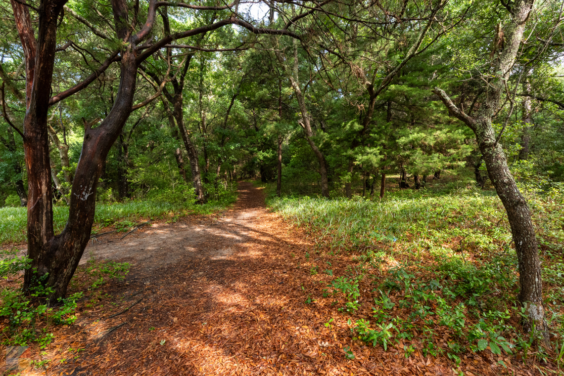 Buxton woods