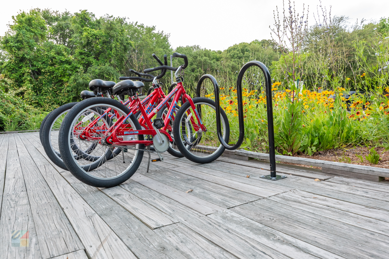 Biking the Outer Banks