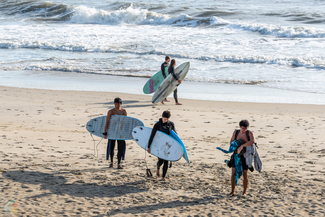 Surf Board Rentals