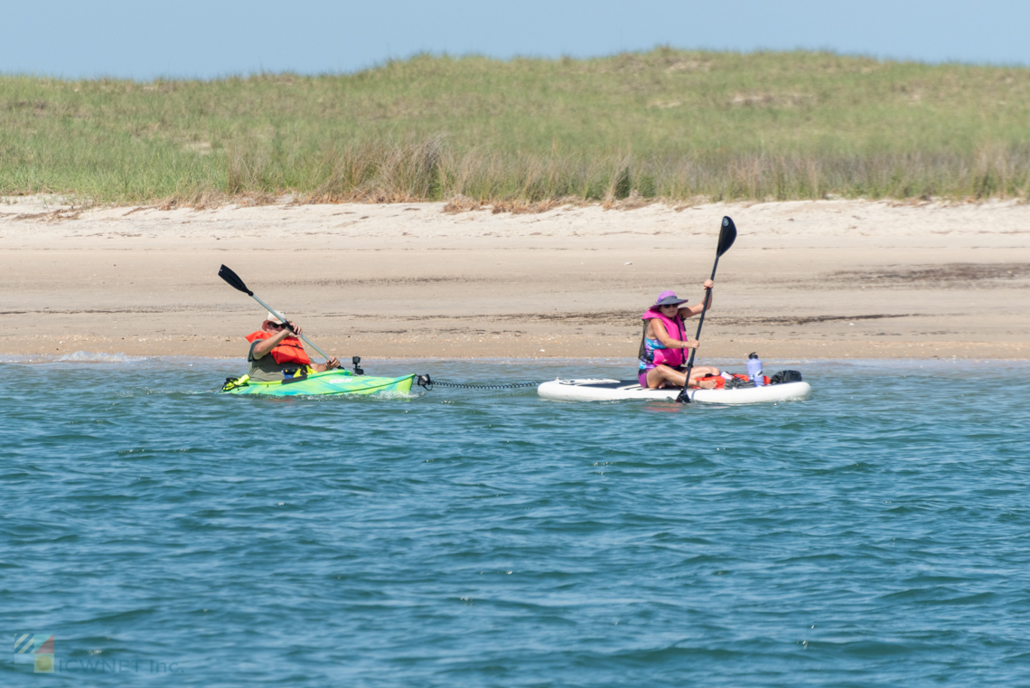 Kayakers
