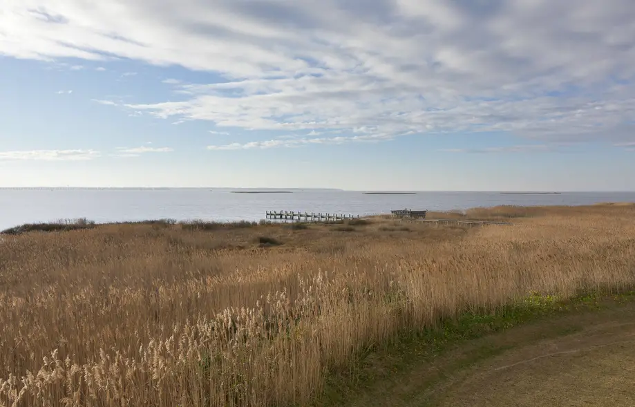 rental image 8