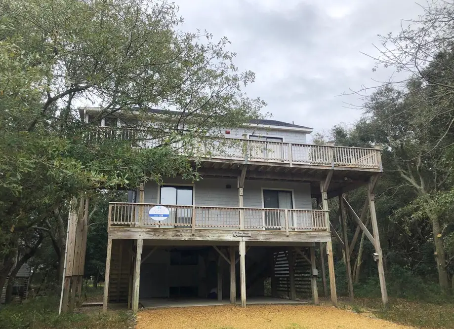 The Tree House